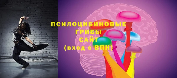 мяу мяу мука Алзамай