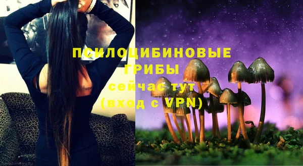 мяу мяу мука Алзамай
