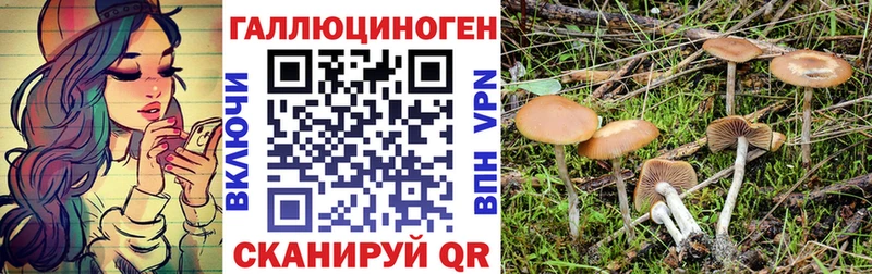 наркотики  Ардатов  сайты даркнета телеграм  Псилоцибиновые грибы GOLDEN TEACHER 
